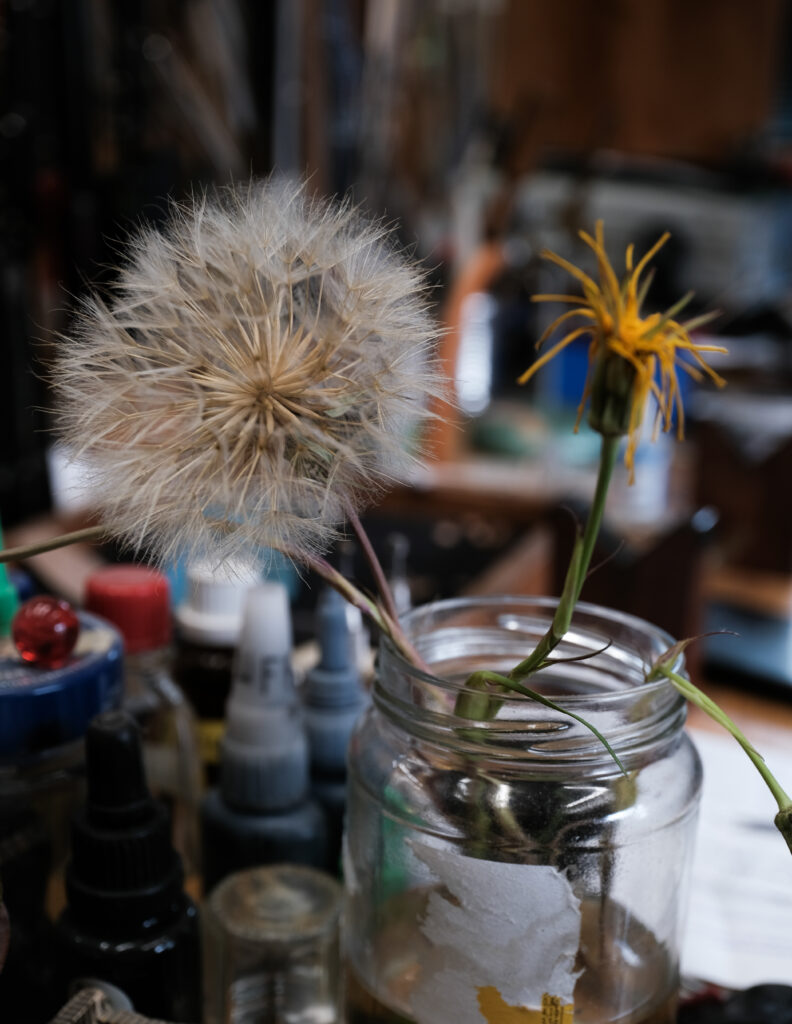 Pusteblume und gelbe Blüte im Einmachglas zwischen Ölfläschchen auf der Werkbank